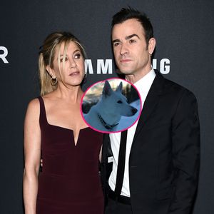 Jennifer Aniston & Justin Theroux trauern zusammen um Hund!