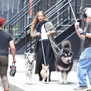 Tierischer Spaß: Hier shootet Jennifer Lawrence mit Hunden