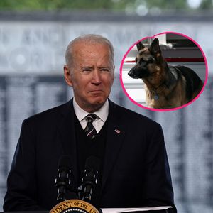 "Wurde verehrt": Joe Bidens Schäferhund Champ ist gestorben