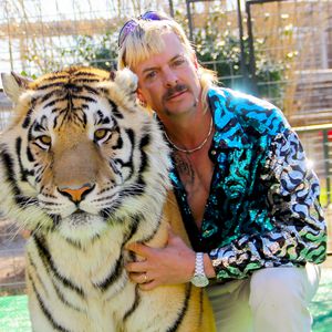 "Tiger King 2" bestätigt: Netflix liefert erste Einblicke!