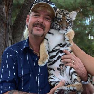 Löwenbaby kann kaum stehen: "Tiger King"-Zoo muss schließen
