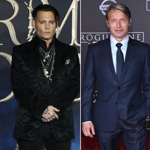 "Phantastische Tierwesen": Er soll Johnny Depp ersetzen!