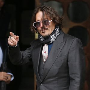 Wollte Johnny Depp Ambers Hund in die Mikrowelle stecken?
