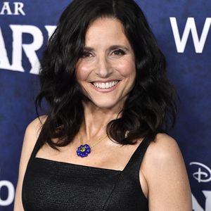 "Seinfeld"-Star Julia Louis-Dreyfus: Sie hat Brustkrebs!