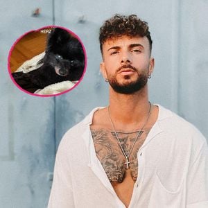 "Love Island"-Hottie Julian trauert um seinen Hund Giacomo