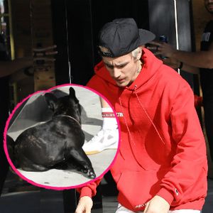 Streichelt herrenlosen Hund: So tierlieb ist Justin Bieber!