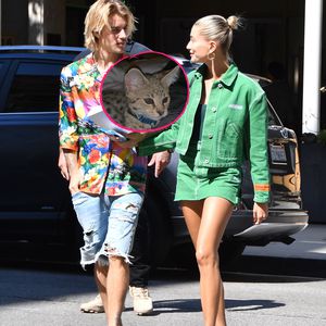 Die Familie wächst: Justin & Hailey holen sich weitere Katze