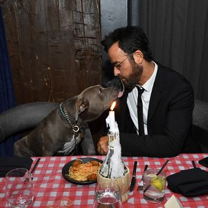Wie "Susi & Strolch": Justin Theroux futtert Nudeln mit Hund