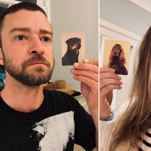 Justin Timberlake und Jessica finden ihre Hunde-Doppelgänger