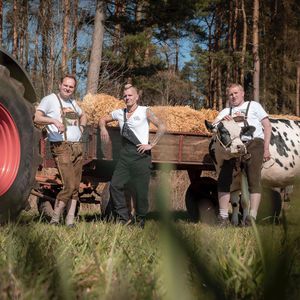 Bauern-Band: Arbeiten die Crazy Farmers an weiteren Songs?