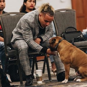 Gab Hund die Schuld: Influencer bekommt 75 Jahre für Mord