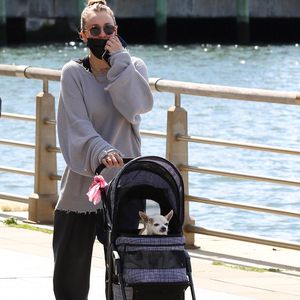 Tierischer Ausflug: Wer sitzt hier in Kaley Cuocos Buggy?