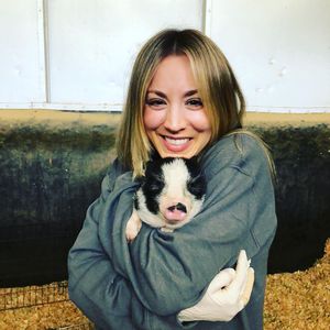 Nach Zwergpony-Tod: Kaley Cuoco hat zwei neue Mini-Schweine