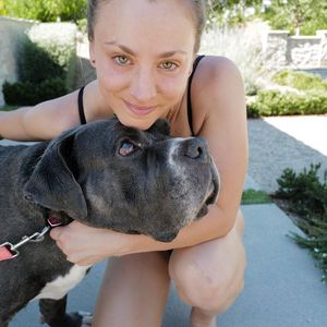 Nach Trauer um ihren Hund: Kaley Cuoco hat neuen Vierbeiner