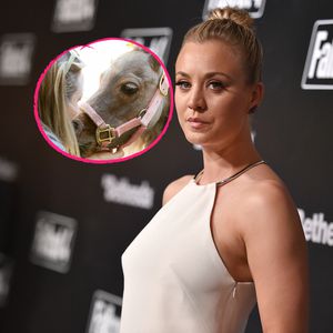Nach Schmerzen: Kaley Cuocos Zwergpony Fiona ist gestorben