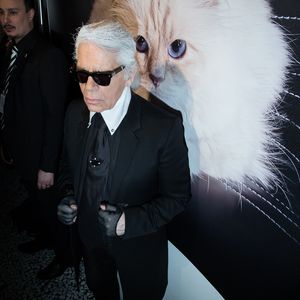 Karl Lagerfeld: Millionen-Erfolg für seine Katze Choupette