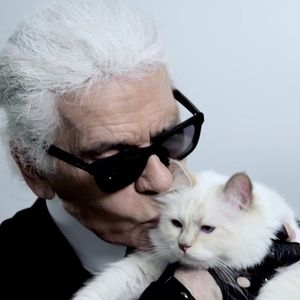 Karl Lagerfelds Katze ist doch nicht bei der Met Gala dabei!