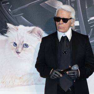 Nach Trauer: Choupette Lagerfeld zurück – mit Insta-Profil