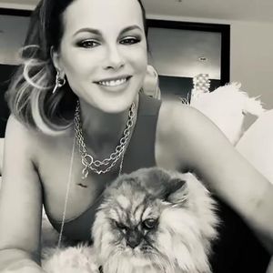 Kate Beckinsale ehrt ihre Katze Clive am zweiten Todestag