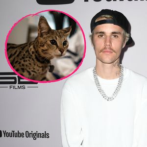 Verloren geglaubt: Justin Biebers Katze ist wieder zu Hause!