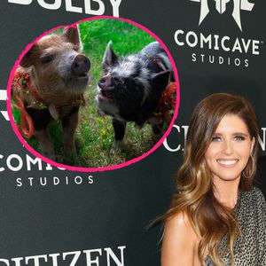 Zum B-Day: Katherine schenkt Chris Pratt zwei echte Schweine