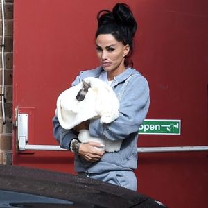 Tierischer Notfall: Katie Price bangte um Leben ihrer Katzen