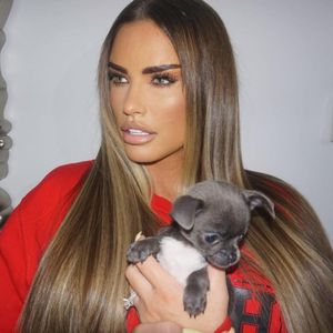 Rund 26.000 Menschen fordern Haustierverbot für Katie Price