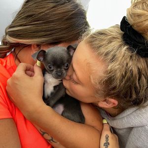 Katie Price' Tochter bekommt wieder Hund zum Geburtstag