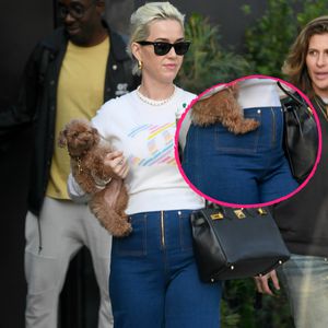 Fans vermuten bei Paparazzi-Foto: Ist Katy Perry schwanger?