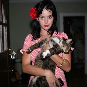 15 Jahre tierisch gute Freunde: Katy Perry trauert um Katze