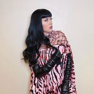 Perücke? Katy Perry überrascht Fans mit schwarzen Haaren