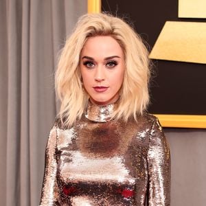 Villa-Zoff: Katy Perry zankt mit einem todkranken Veteranen