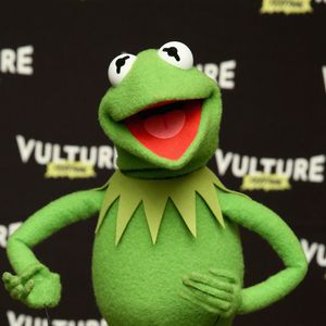 Nach Liebes-Aus: Miss Piggy & Kermit singen "Hello"-Parodie