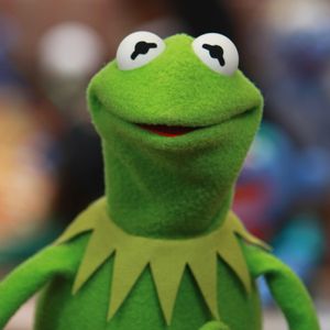 Wie bitte? Schnecke bei US-"The Masked Singer" war Kermit!