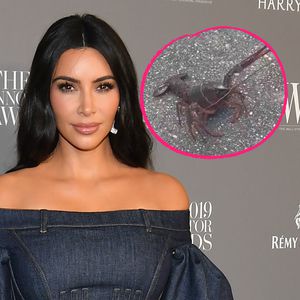 Bei Kim Kardashian kommt der Hummer nicht auf den Teller!