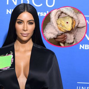 Echse als neues Haustier: Fans kritisieren Kim Kardashian