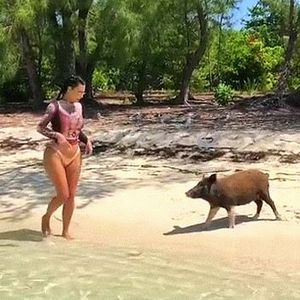 "Hatte Angst": Kim K. trifft berühmte Bahamas-Schweine!
