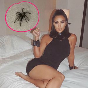 Hilfe! Kim Kardashian findet eine Tarantel in ihrer Garage