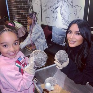 Süß: Kim Kardashian streichelt mit ihren Kids Igel in Japan