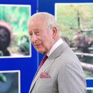 Verhütung für Grauhörnchen: König Charles ist "interessiert"