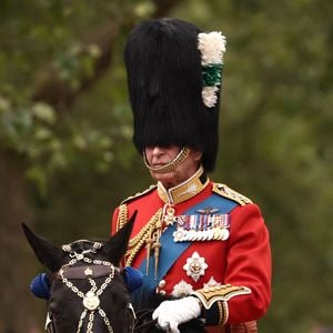 Das kann König Charles bei Trooping the Colour nicht machen
