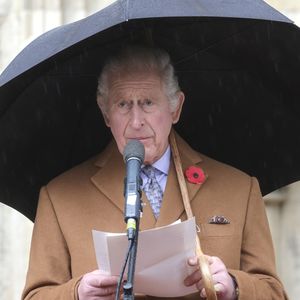 Protest: König Charles wurde fast mit rohen Eiern beworfen!