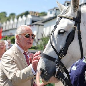 König Charles teilt schmerzhaften Fitnesstipp fürs Reiten