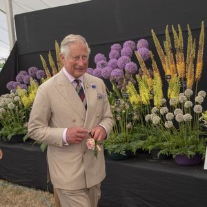 Kein Fast Food für Bio-Fan und "Umwelt-König" Charles III.