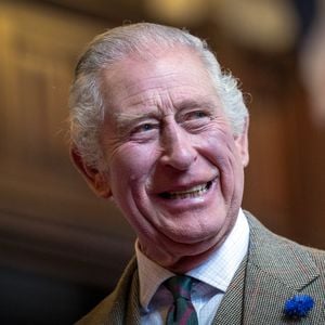 Gutes Zeichen nach Diagnose: König Charles arbeitet wieder!