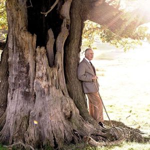 Erster Geburtstag als König: Charles III. wird heute 74