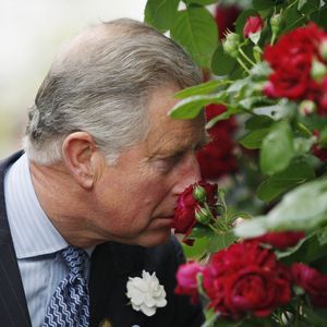 "Hauch von Luxus": König Charles bringt Herrenduft raus