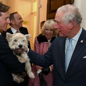 König Charles verkauft jetzt elegante Tweedjacken für Hunde