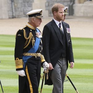 So klappt die Versöhnung zwischen König Charles und Harry!