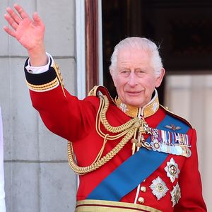 Tag der Streitkräfte: König Charles zeigt sich in Uniform!